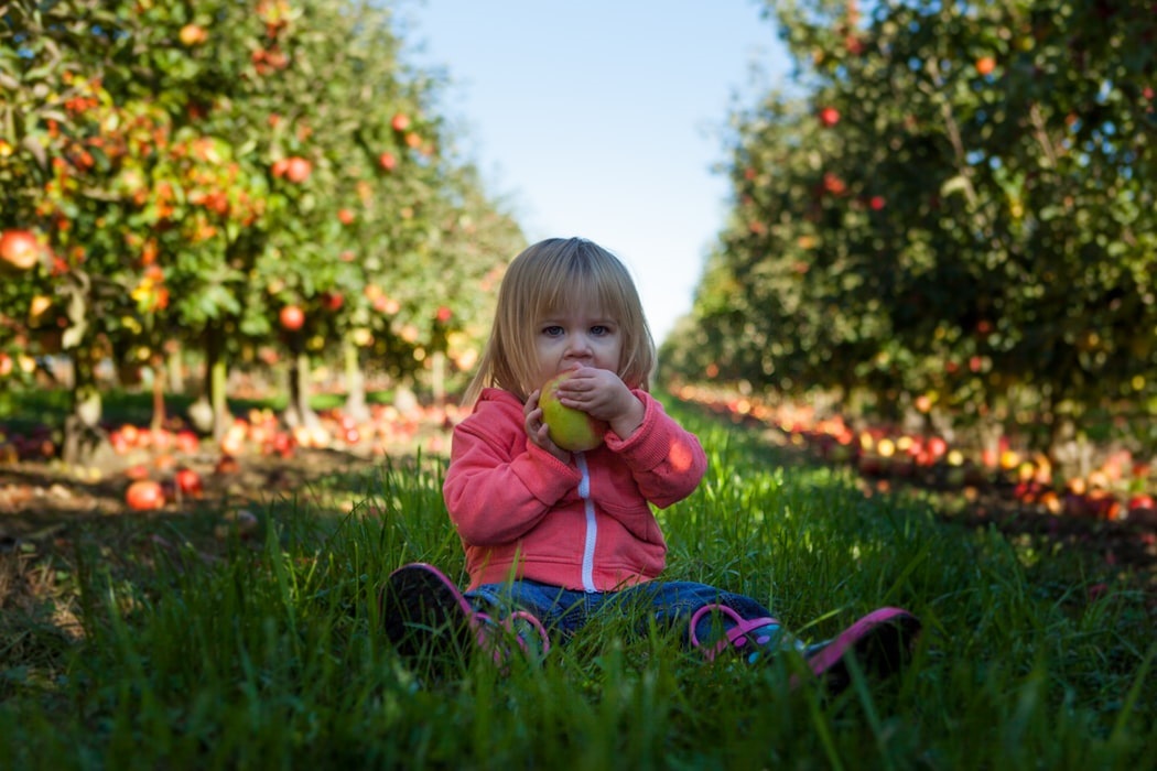 Read more about the article How to Encourage Kids to Eat Healthy