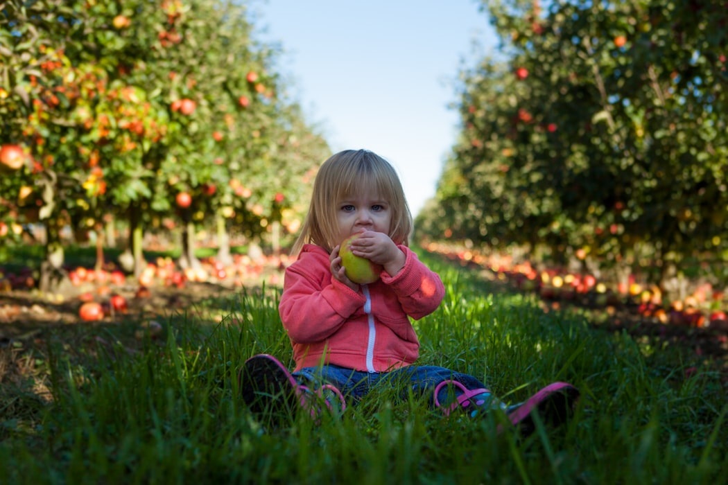 How to Encourage Kids to Eat Healthy